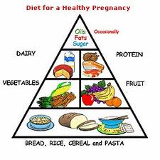 The Pregnancy Diet Chart